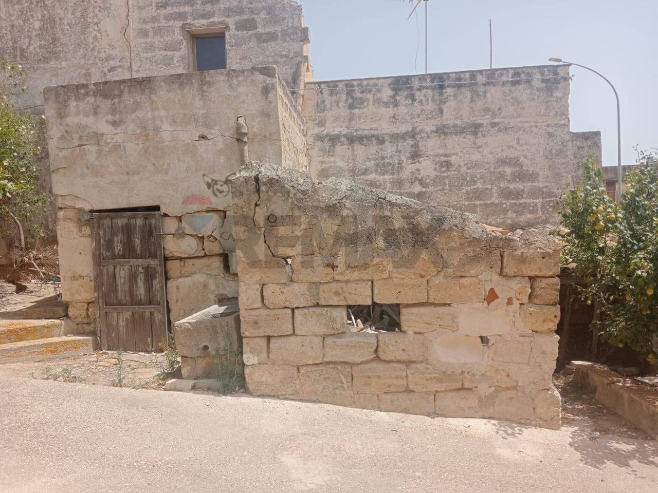 immagine annuncio 9 di 14