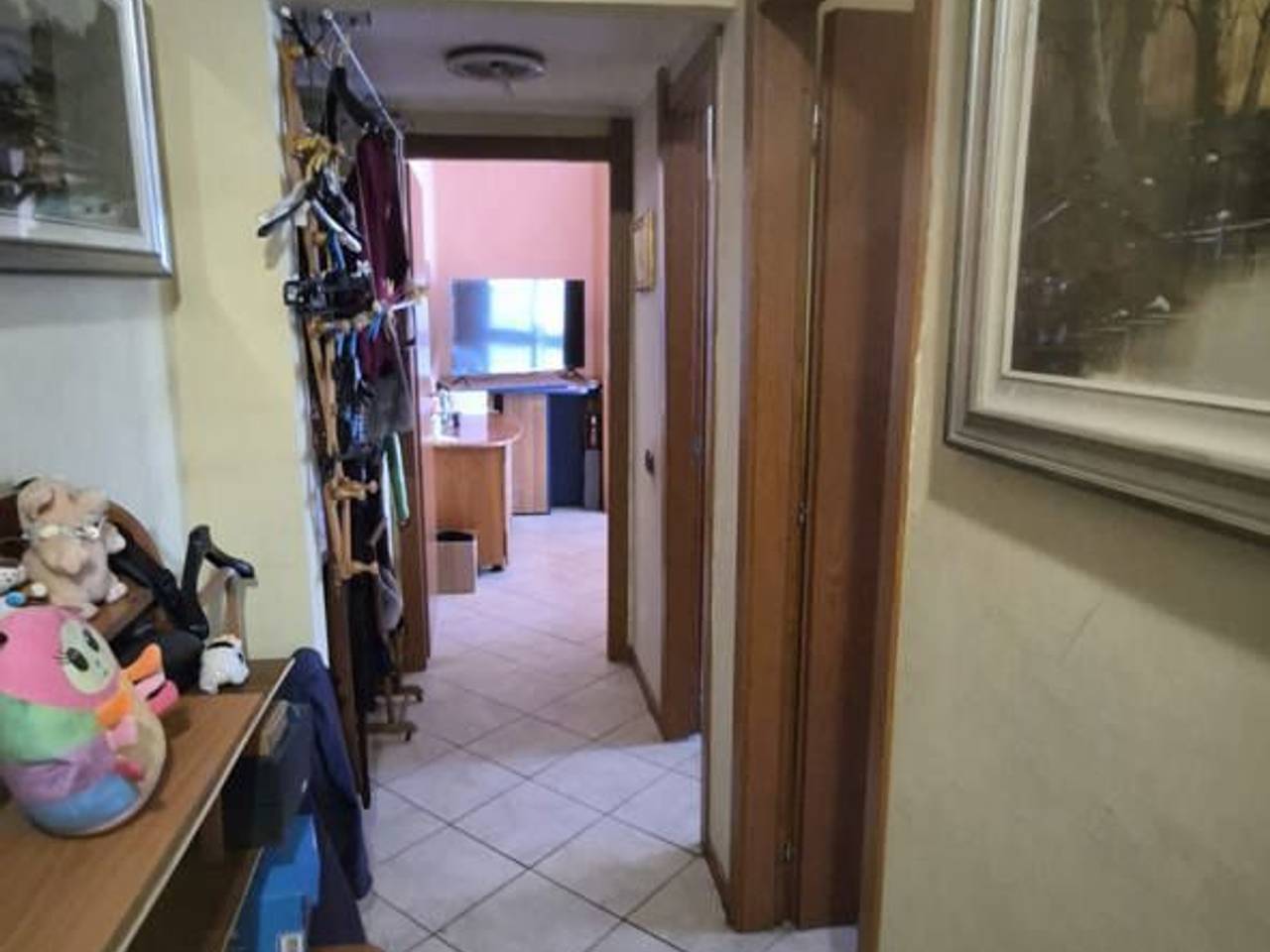 immagine annuncio 5 di 13