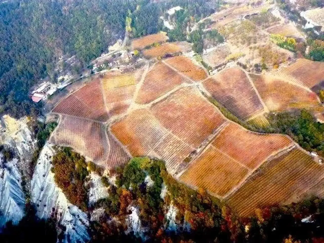 Azienda agricola in , Serole, {3} - Foto 2
