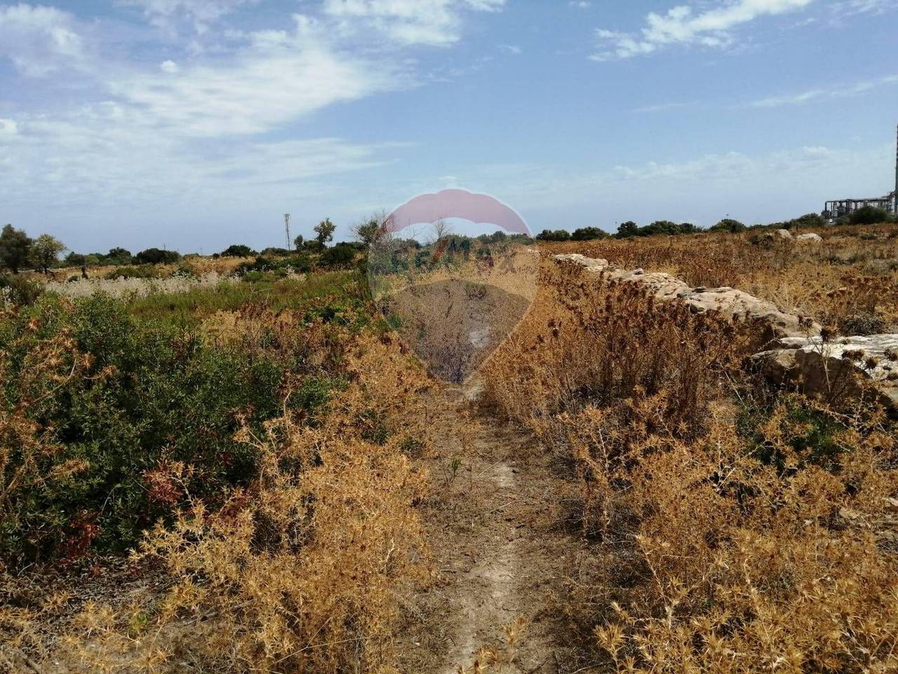 immagine annuncio 6 di 9