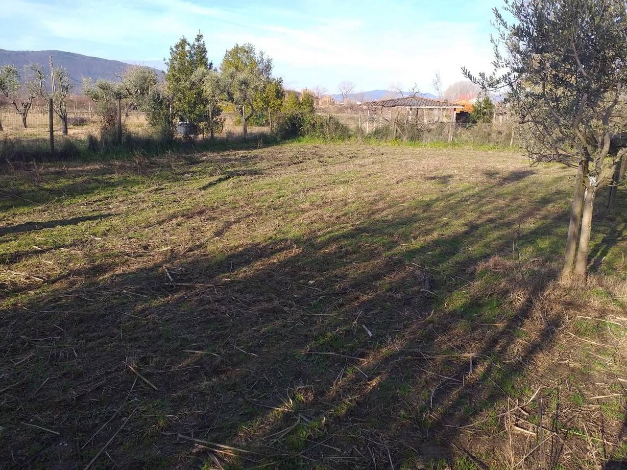 immagine annuncio 2 di 4