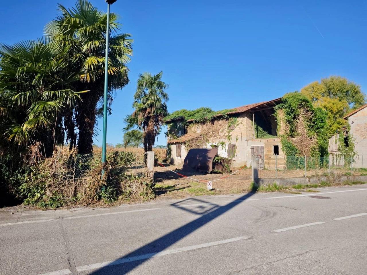 immagine annuncio 3 di 8