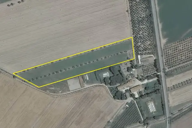 insertion image