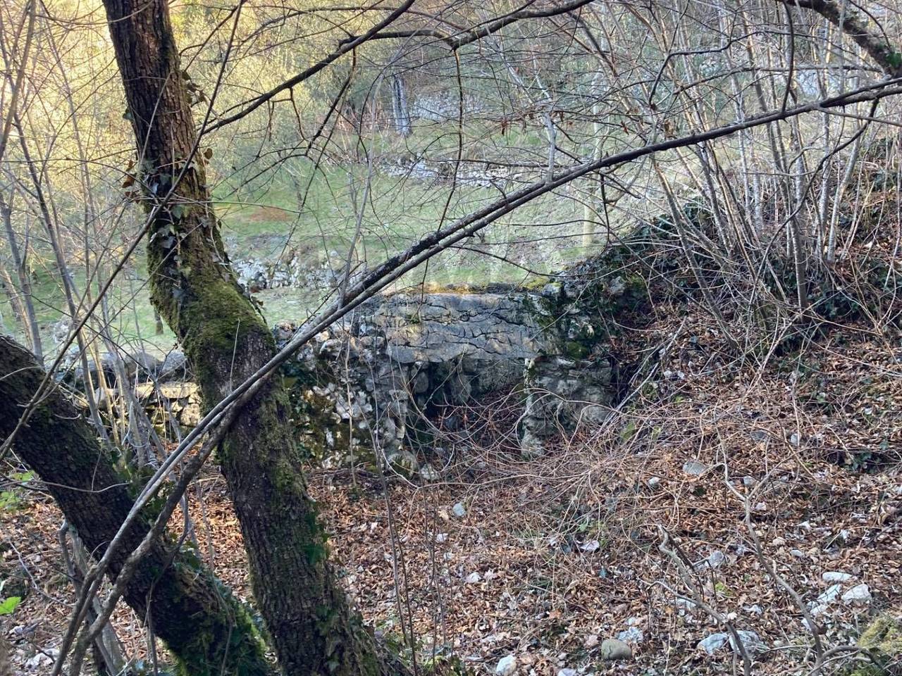 immagine annuncio 8 di 12