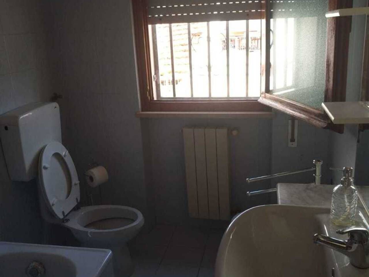 immagine annuncio 9 di 14