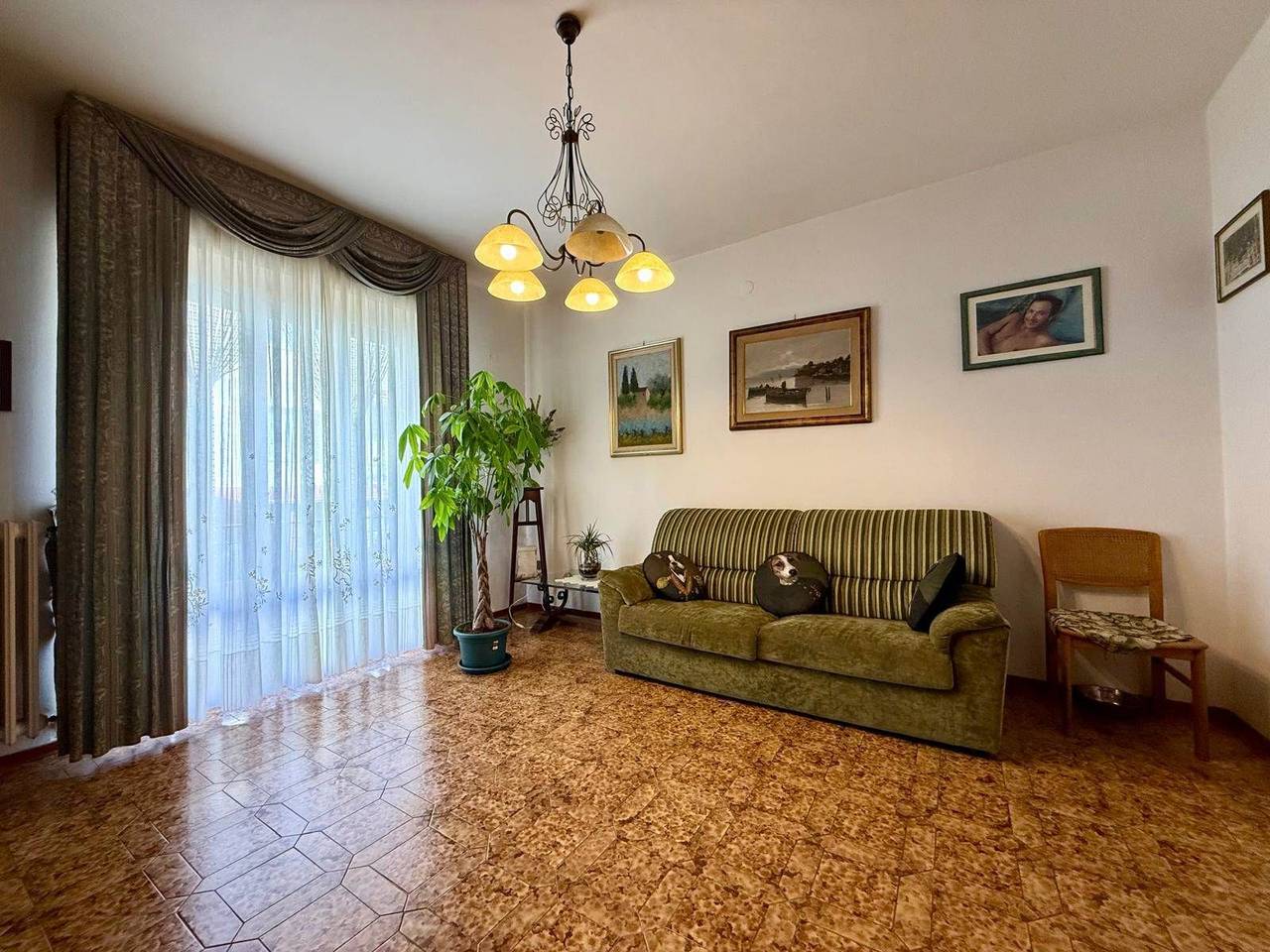 immagine annuncio 4 di 15