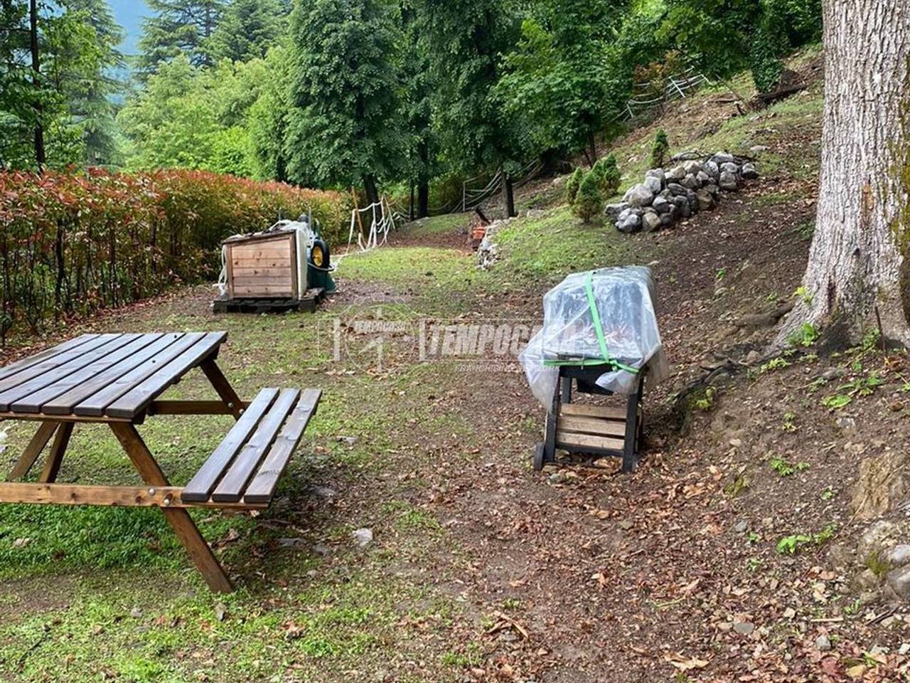 immagine annuncio 5 di 11