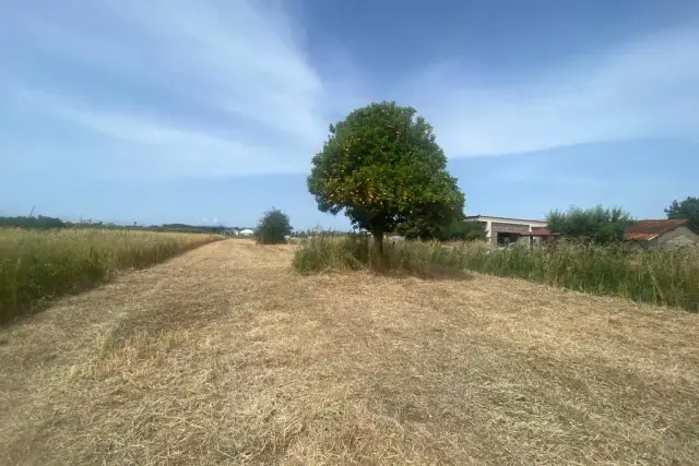 Terreno agricolo in Via Mortacino, Terracina - Foto 1