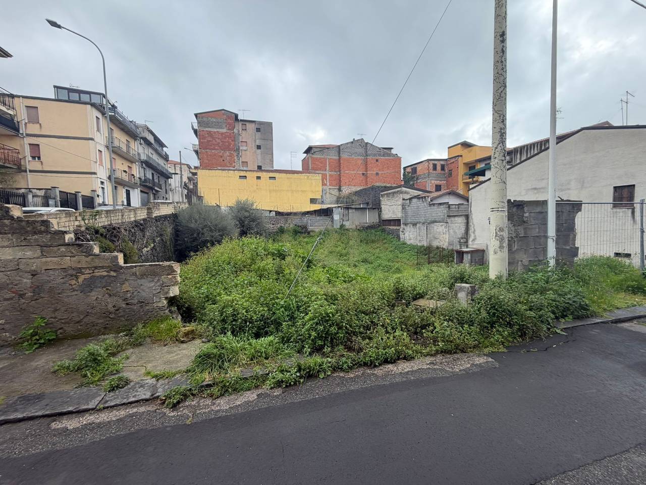 immagine annuncio 1 di 4