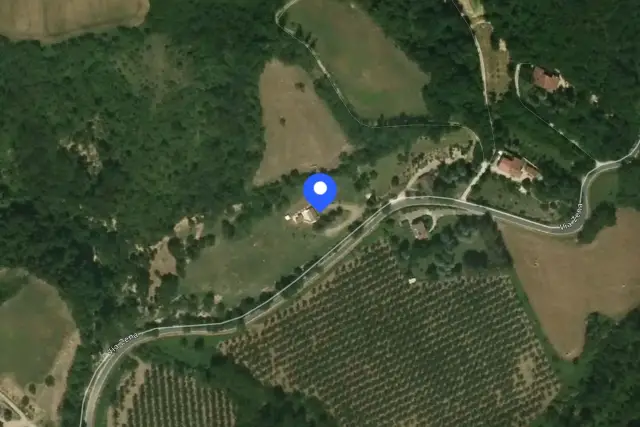 insertion image
