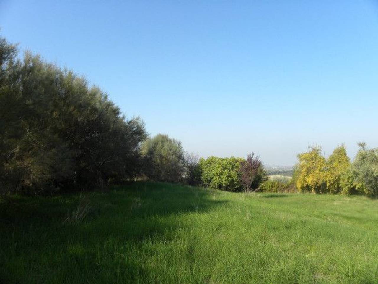 immagine annuncio 7 di 11