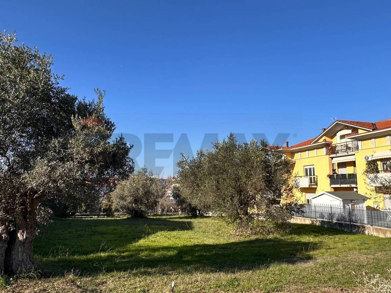 immagine annuncio 1 di 6