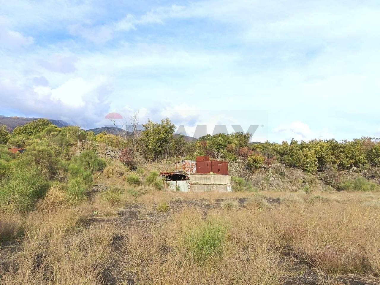 immagine annuncio 2 di 4