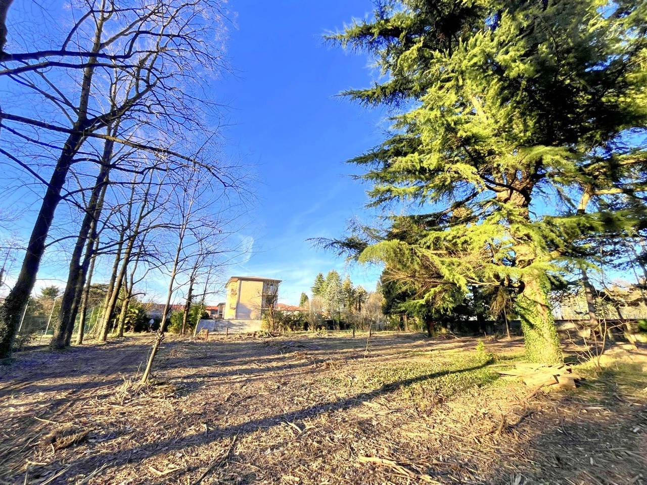 immagine annuncio 3 di 4