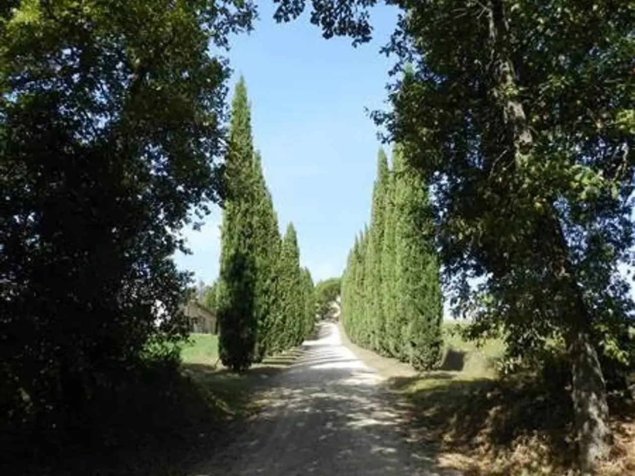 Azienda agricola in , Montalcino, {3} - Foto 2