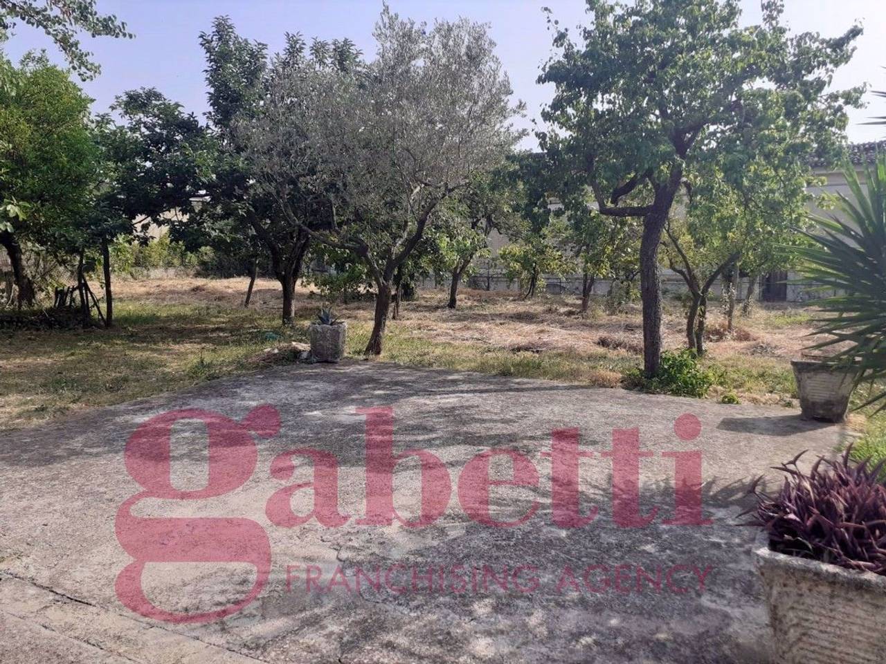 immagine annuncio 2 di 6