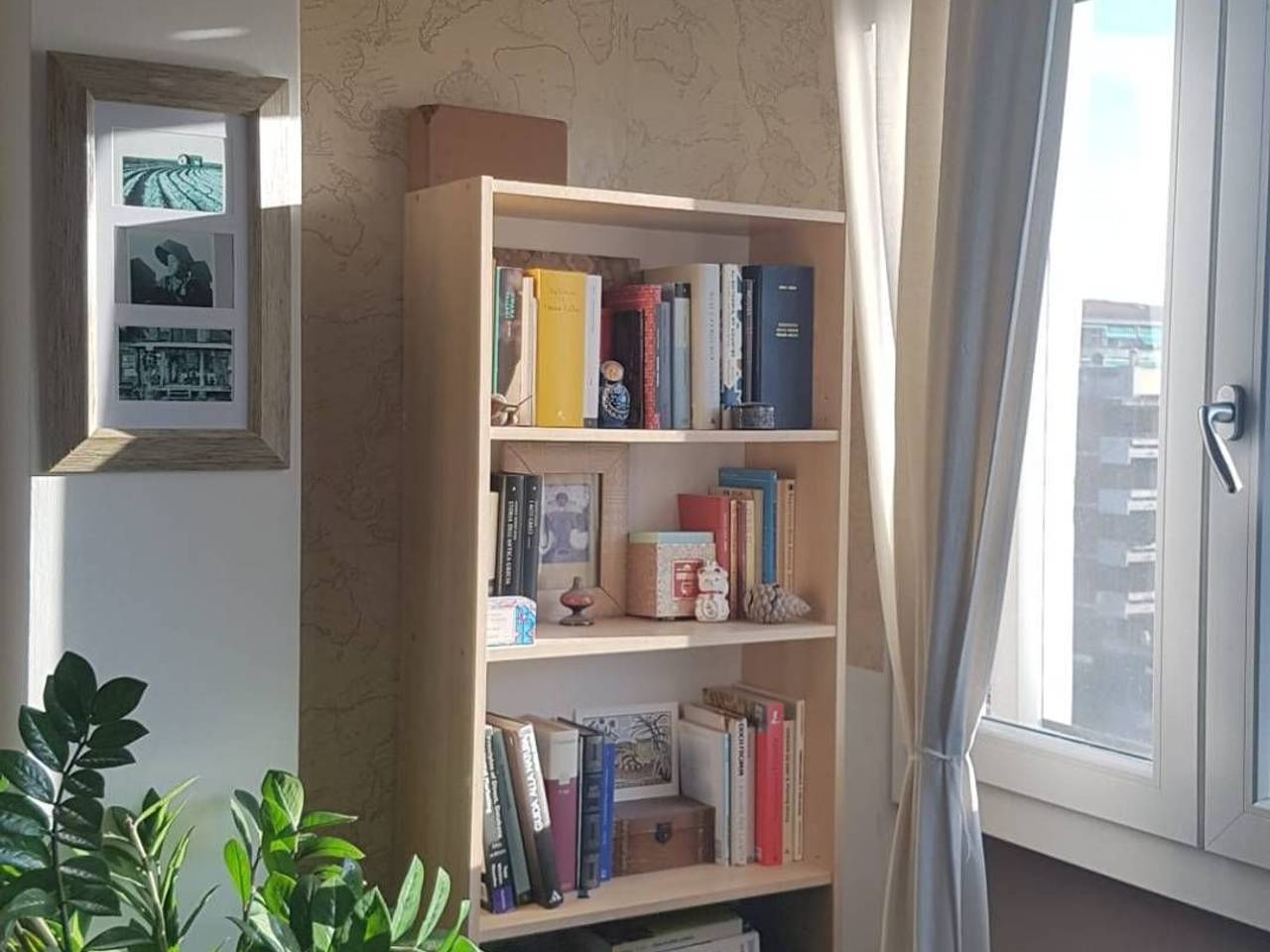 immagine annuncio 9 di 11