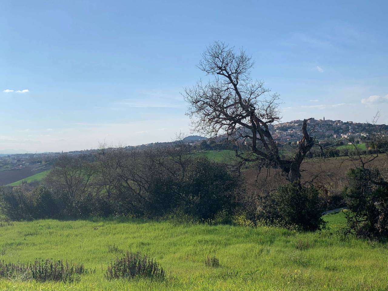 immagine annuncio 6 di 11