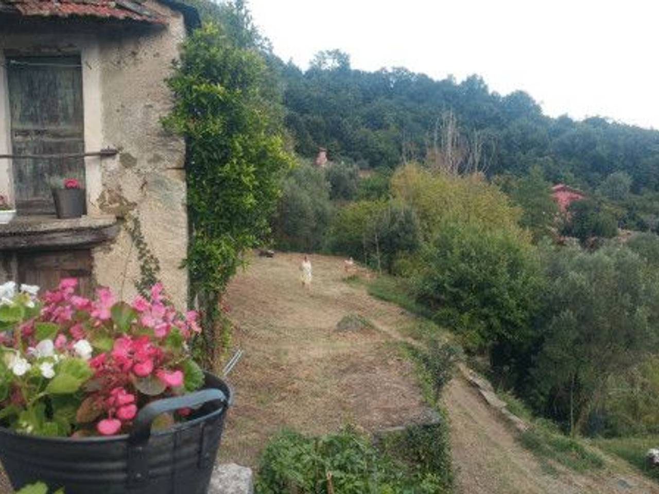 immagine annuncio 7 di 14