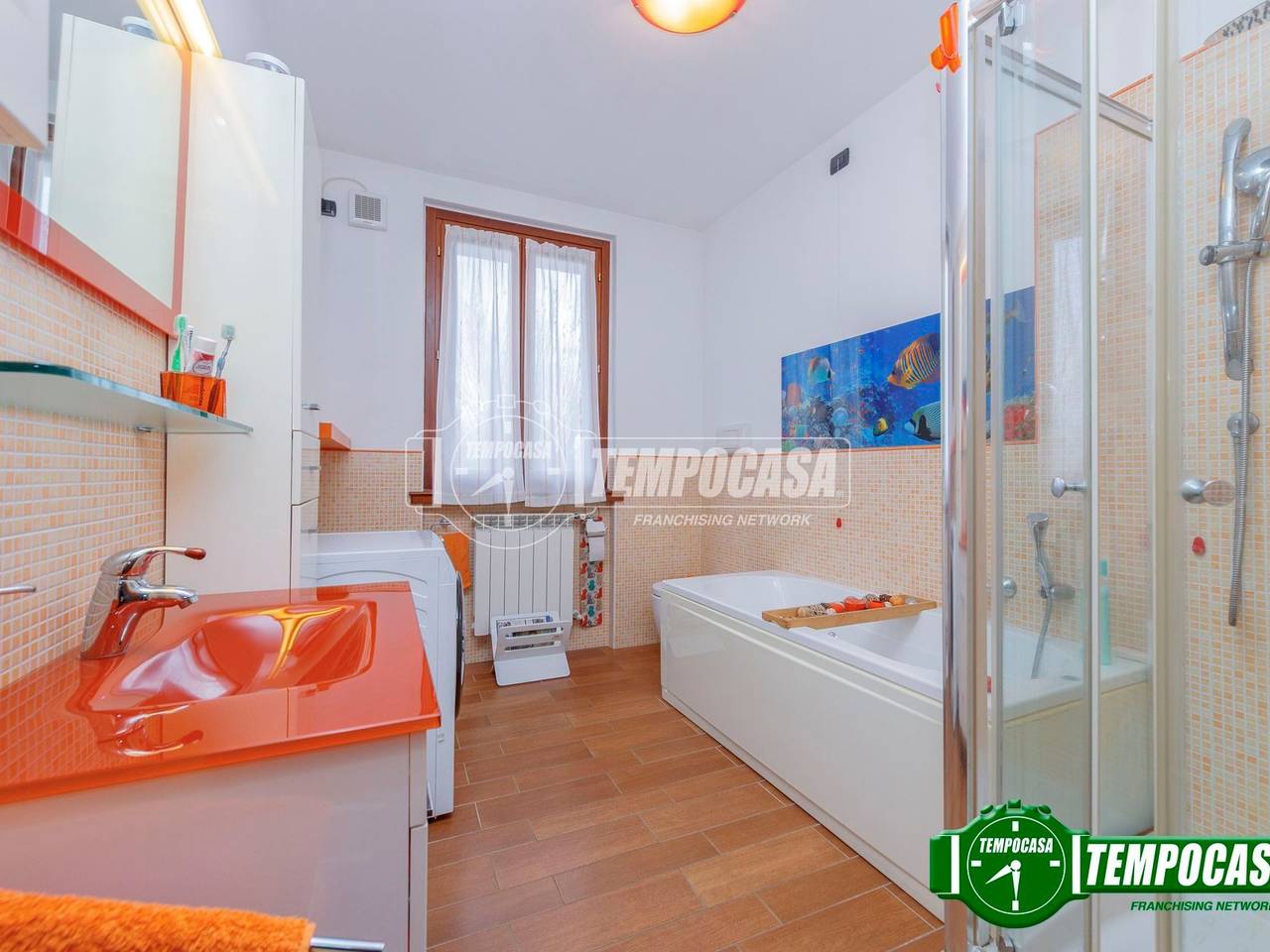 immagine annuncio 9 di 13