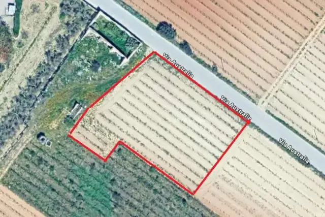insertion image