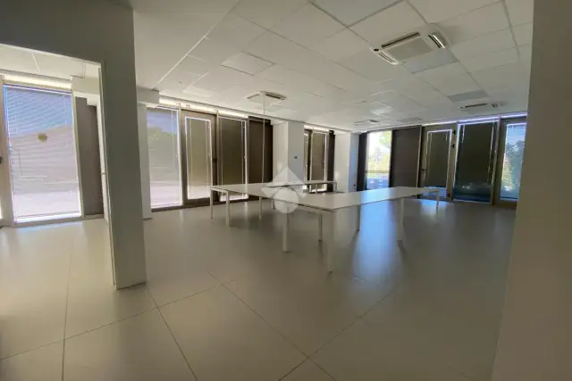 insertion image