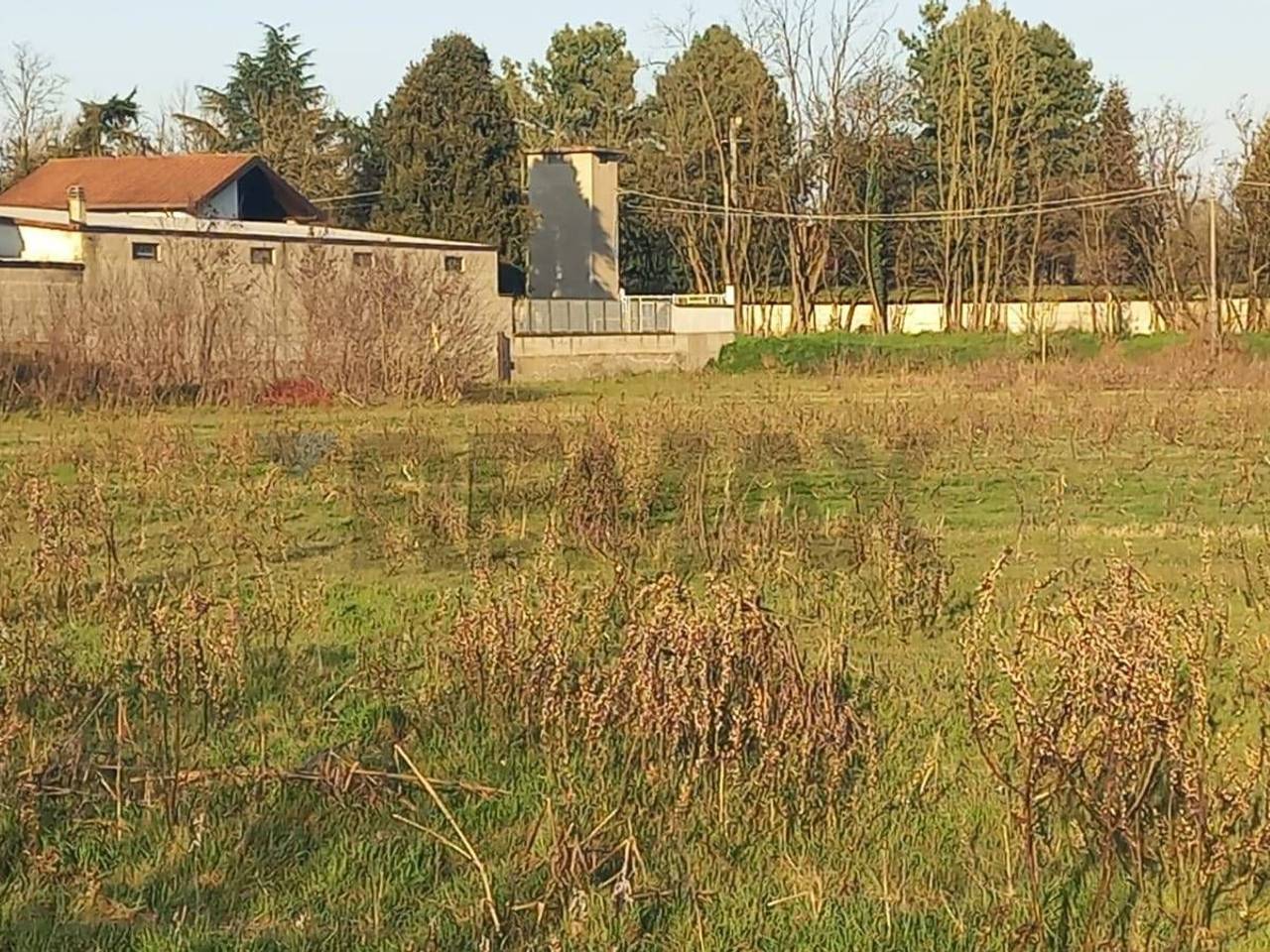 immagine annuncio 11 di 14