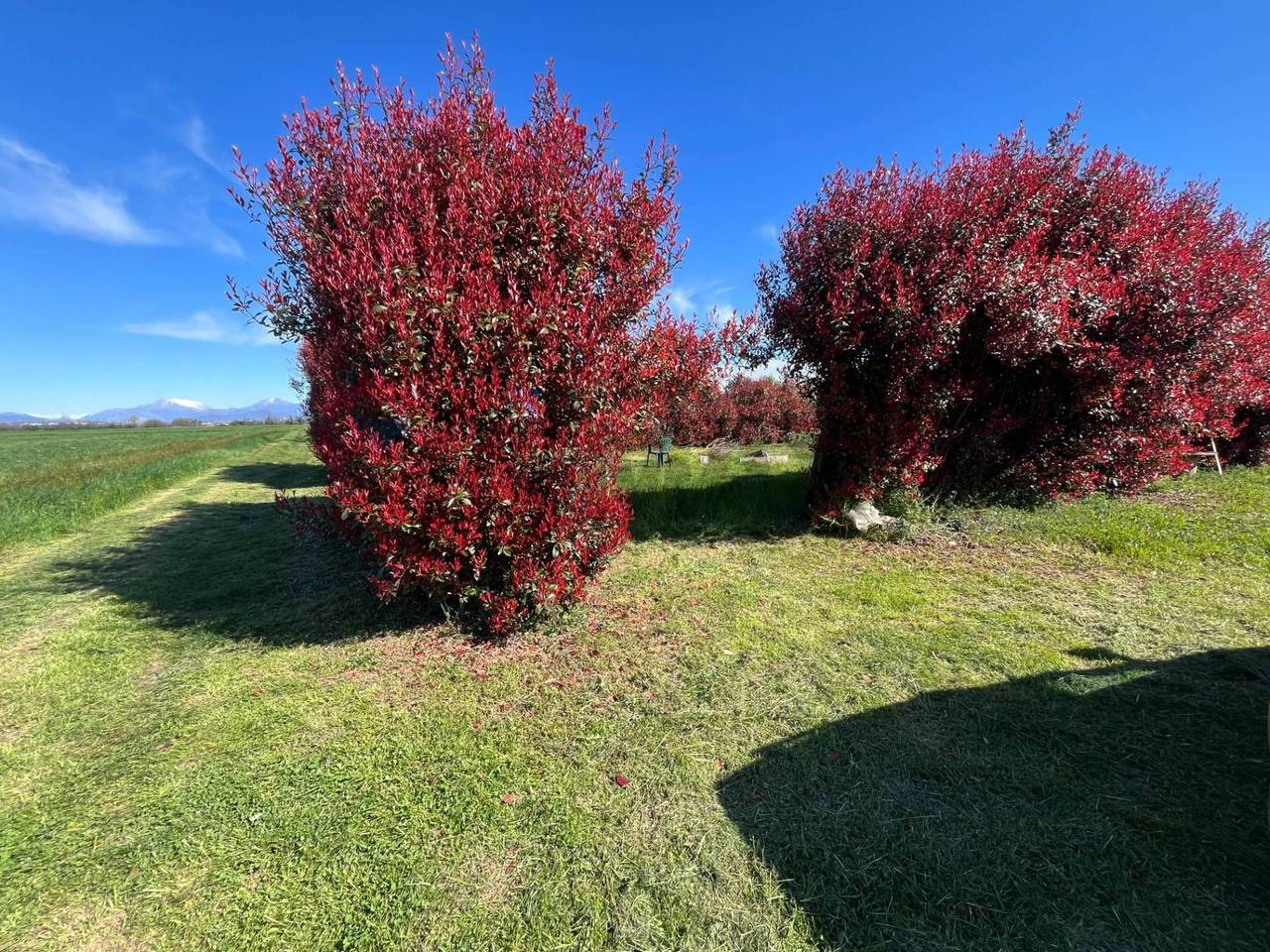 immagine annuncio 1 di 8