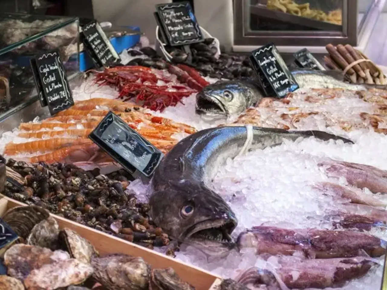 Pescheria in Strada delle Maddalene, Vicenza, {3} - Foto 2