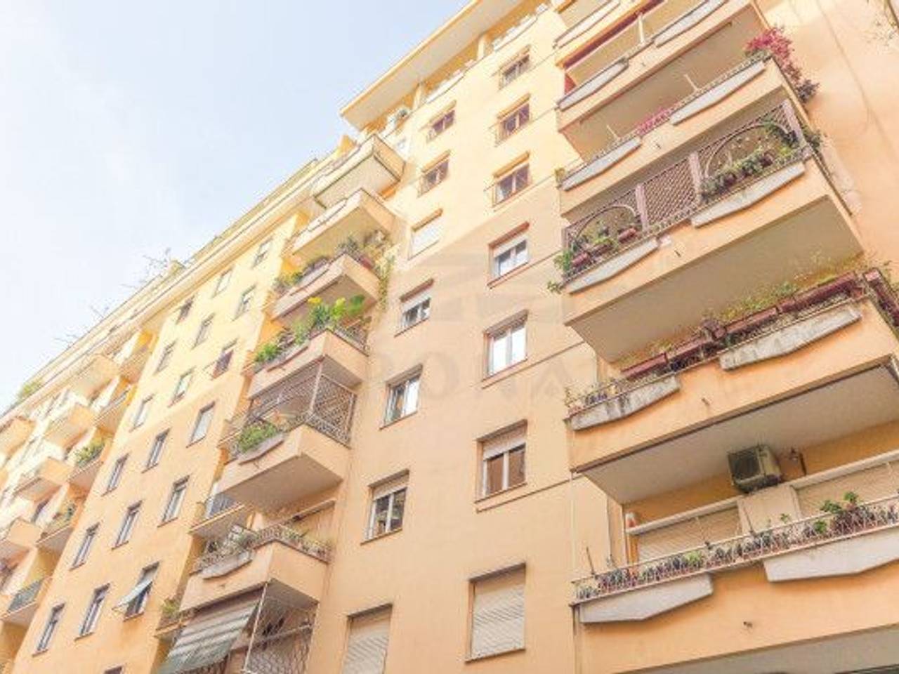 immagine annuncio 12 di 13