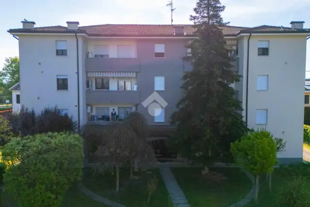 insertion image