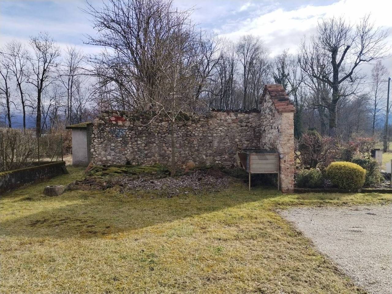 immagine annuncio 6 di 15