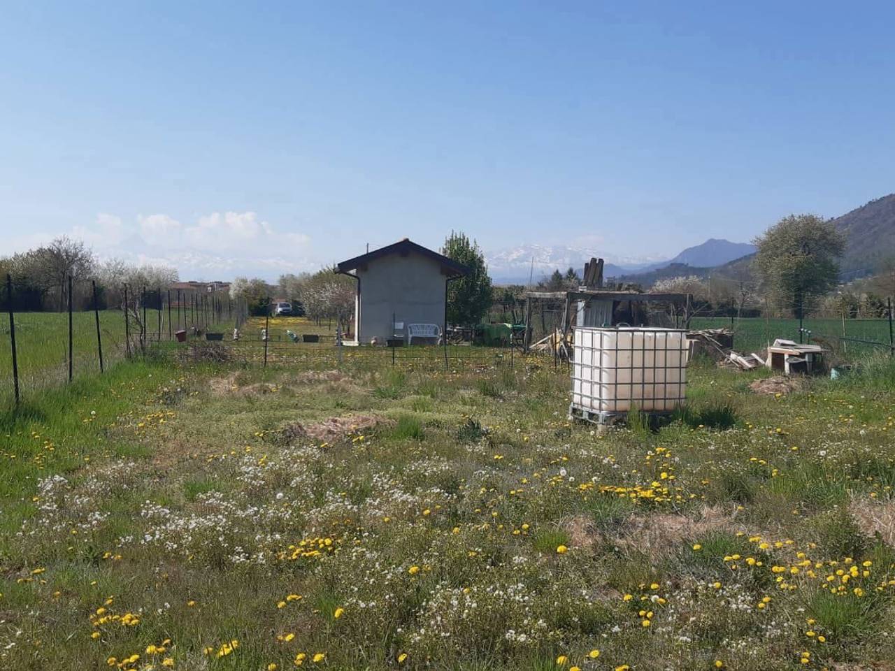immagine annuncio 9 di 15