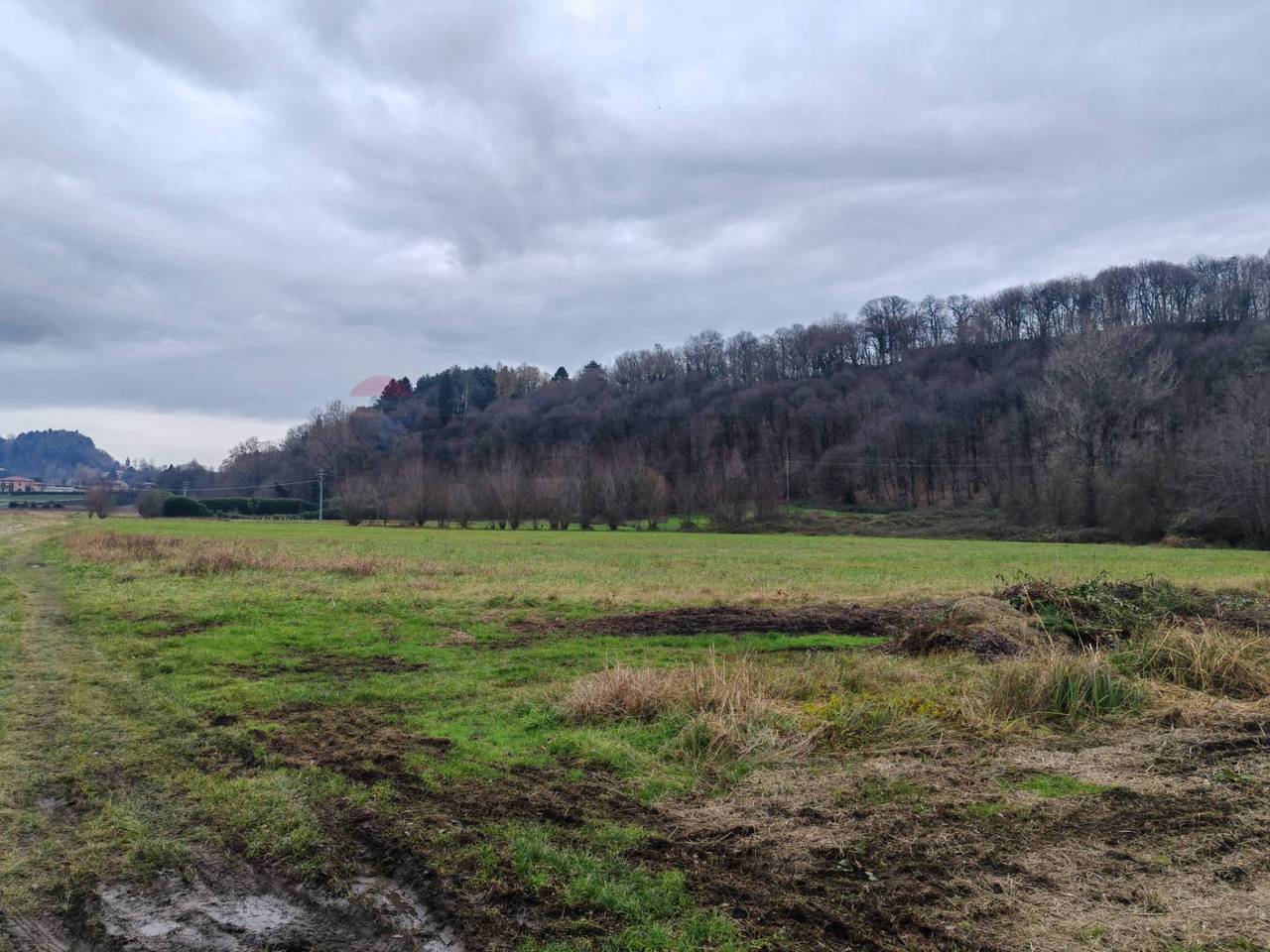 immagine annuncio 3 di 8