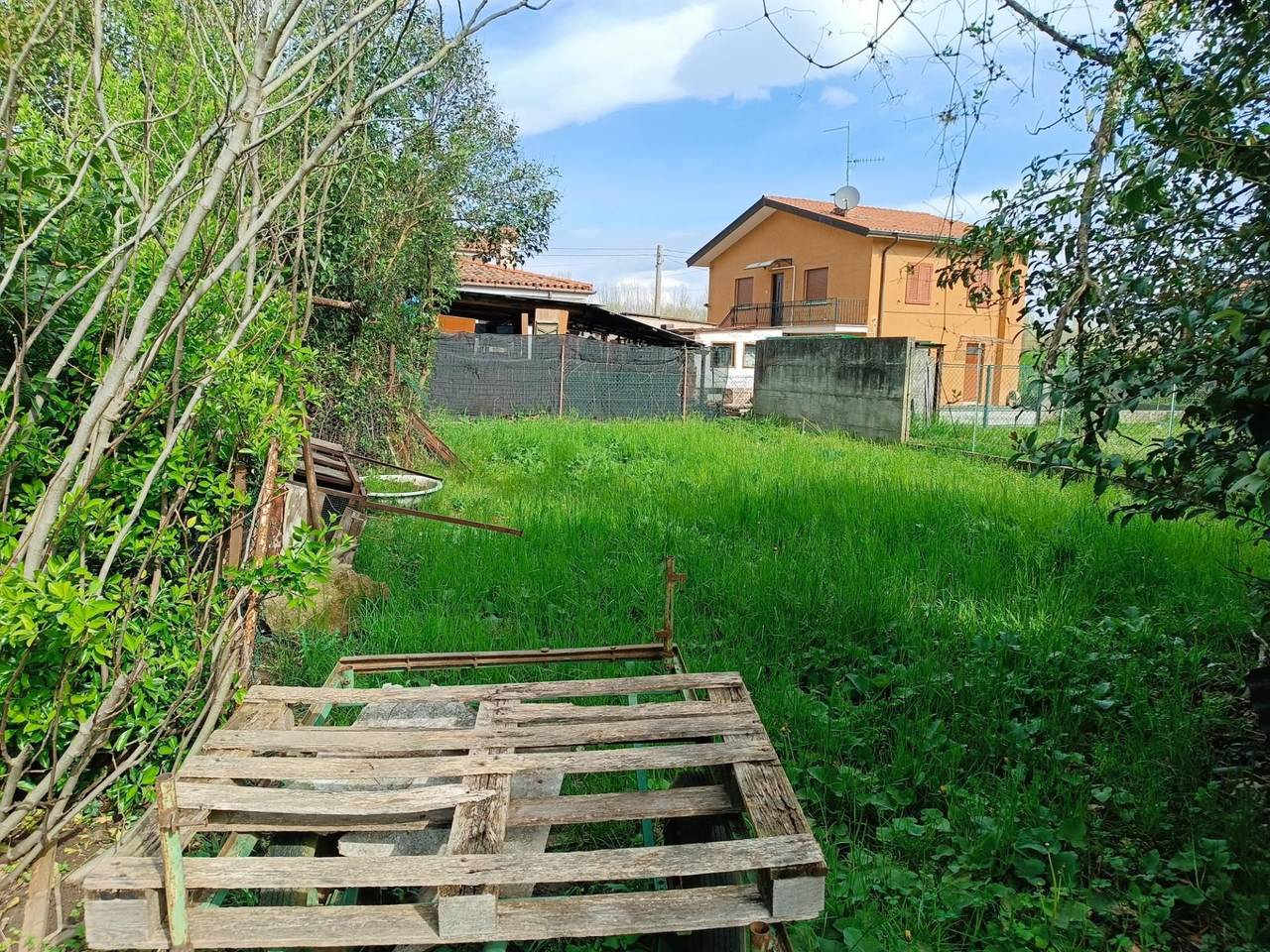 immagine annuncio 1 di 3