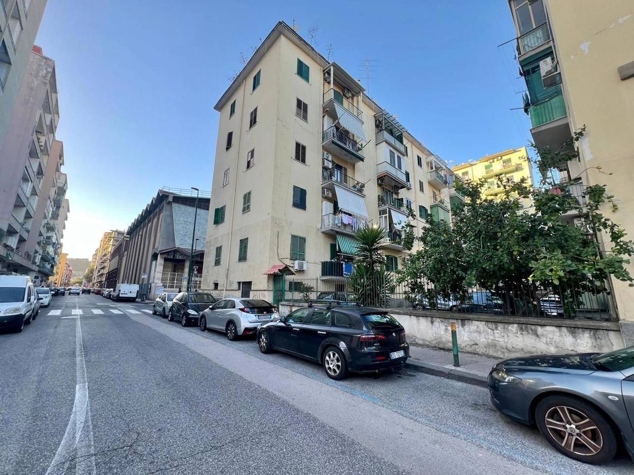 immagine annuncio 11 di 15