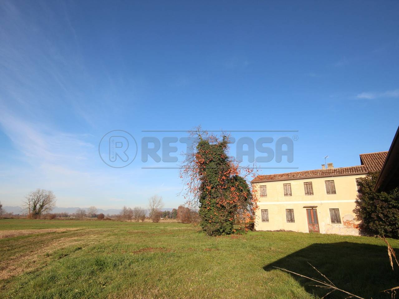 immagine annuncio 1 di 6