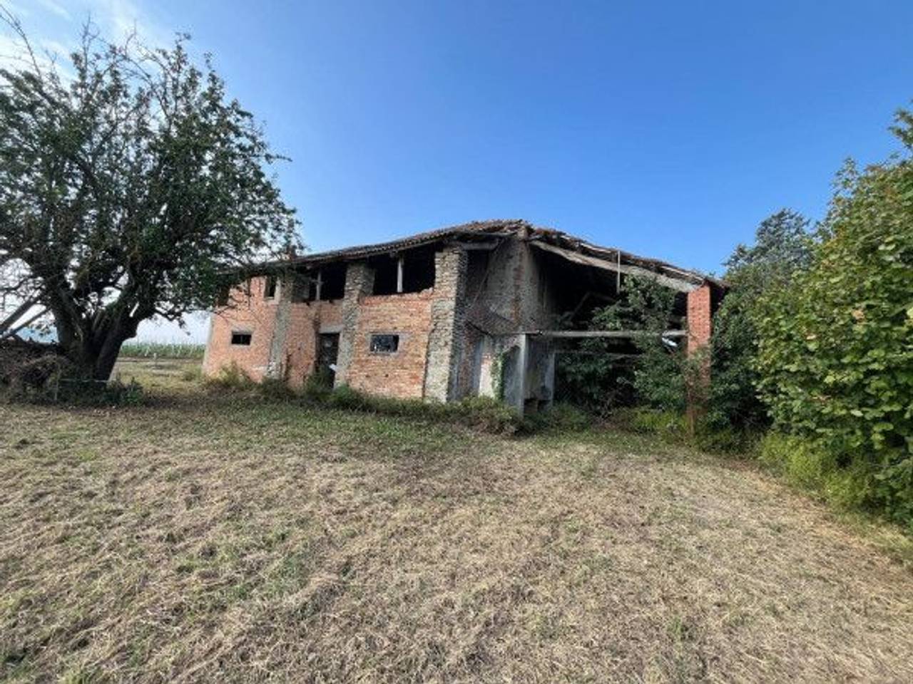 immagine annuncio 9 di 12