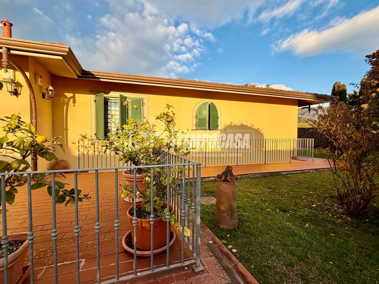 immagine annuncio 11 di 15