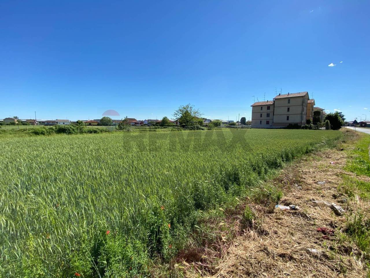 immagine annuncio 5 di 13