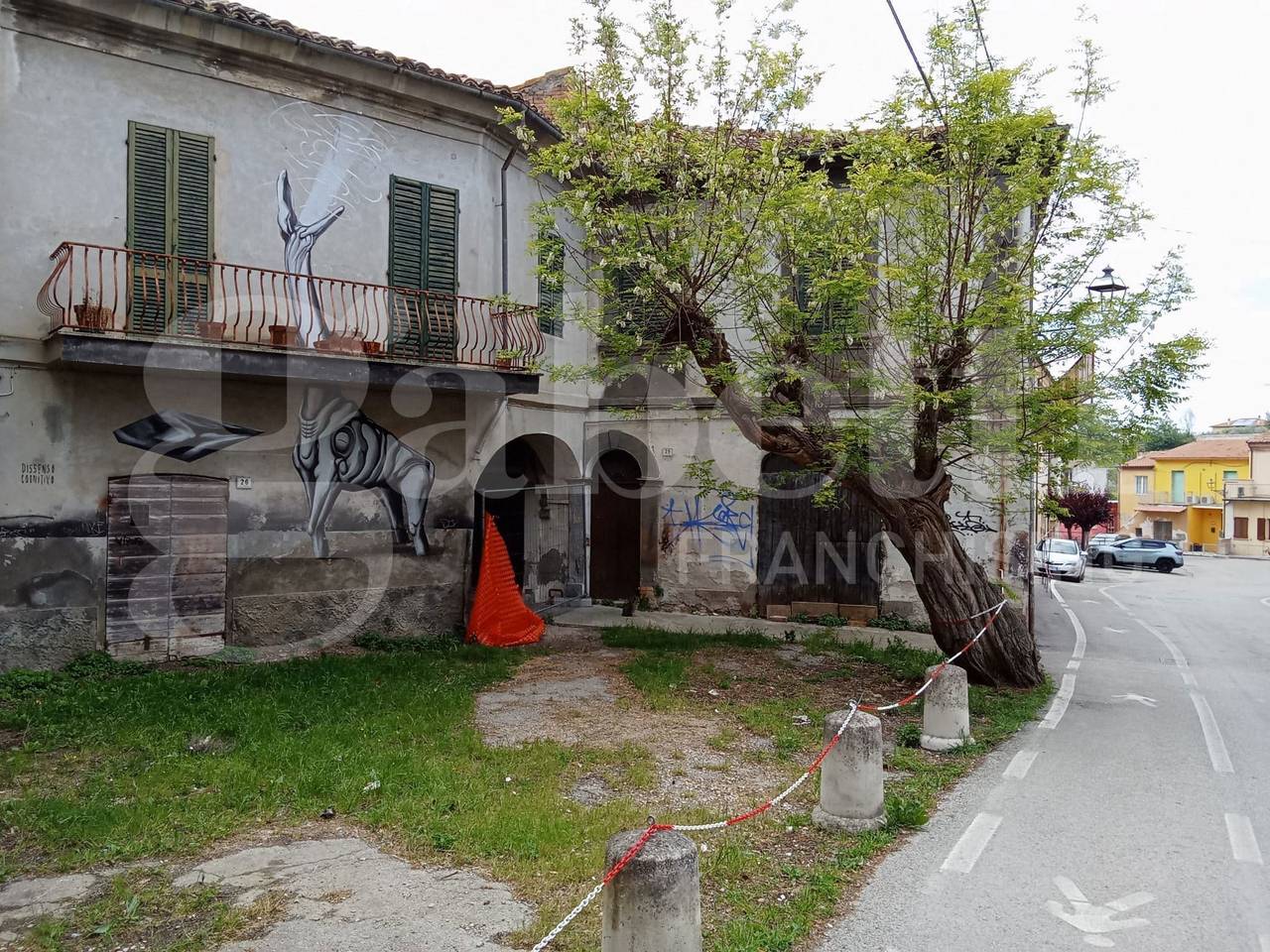 immagine annuncio 5 di 7