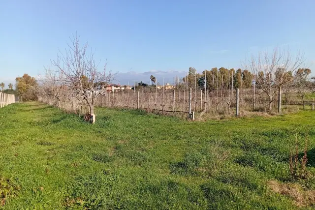 Terreno agricolo in Strada Bassianese 1435, Latina - Foto 1