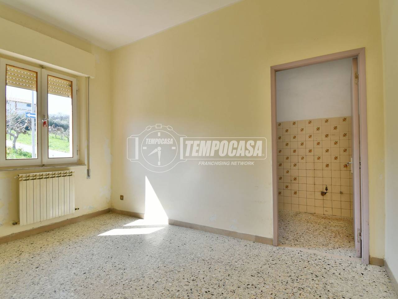 immagine annuncio 3 di 13