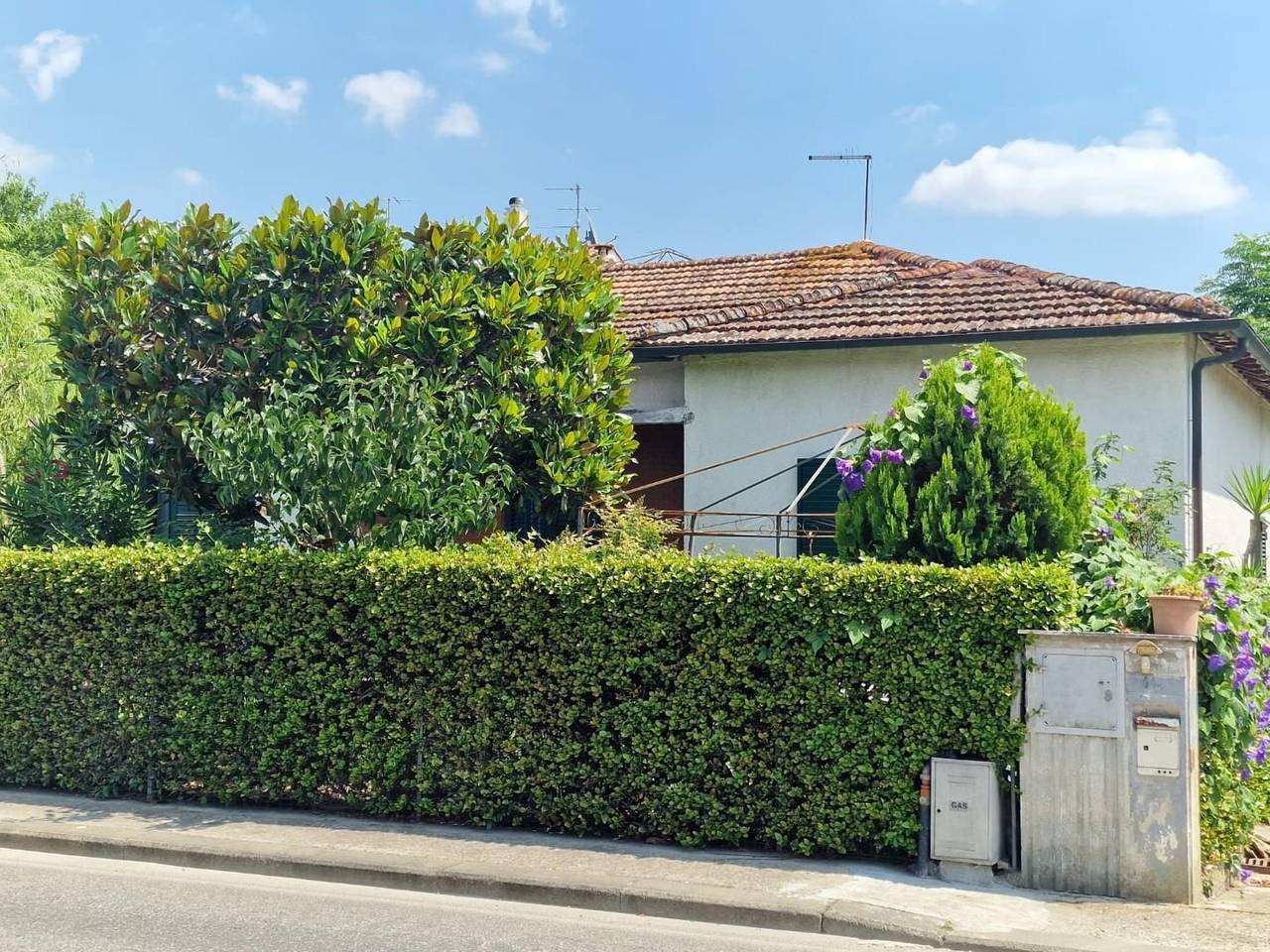 immagine annuncio 6 di 15