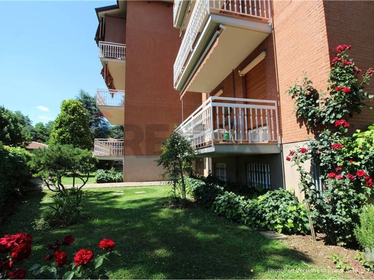 immagine annuncio 4 di 15