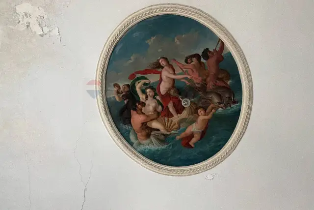 insertion image