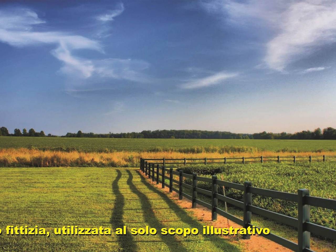 immagine annuncio 2 di 3