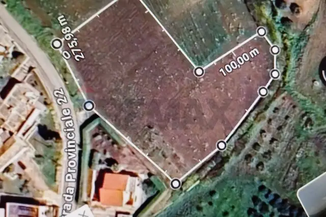 insertion image