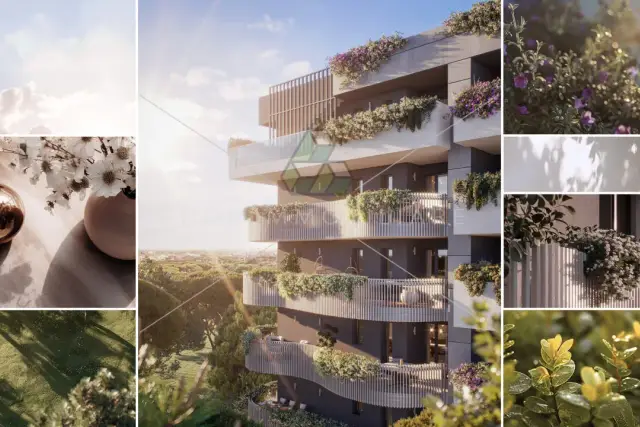 insertion image