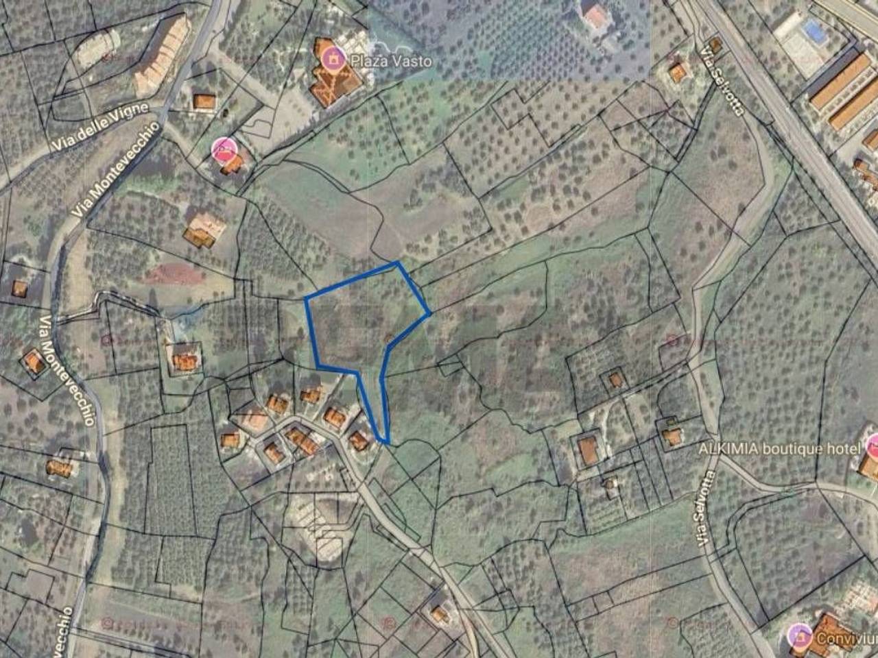 immagine annuncio 5 di 8